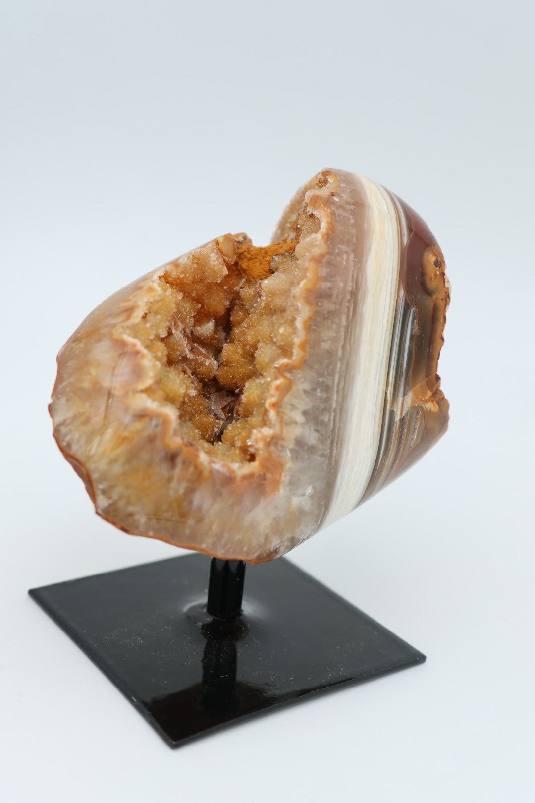 Rotsagaat op standaard 0.220 kg