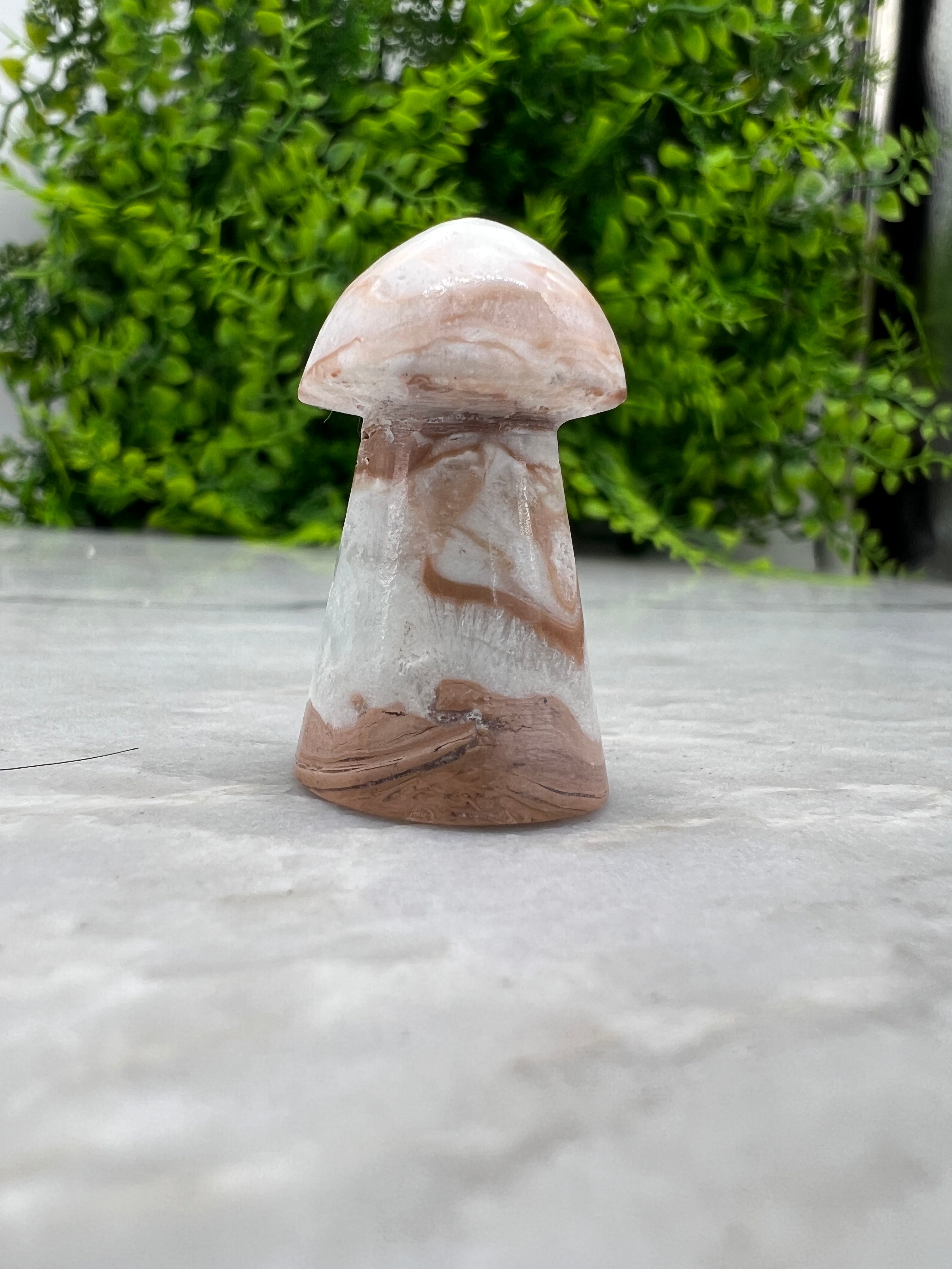 Calciet paddenstoel (3 cm)