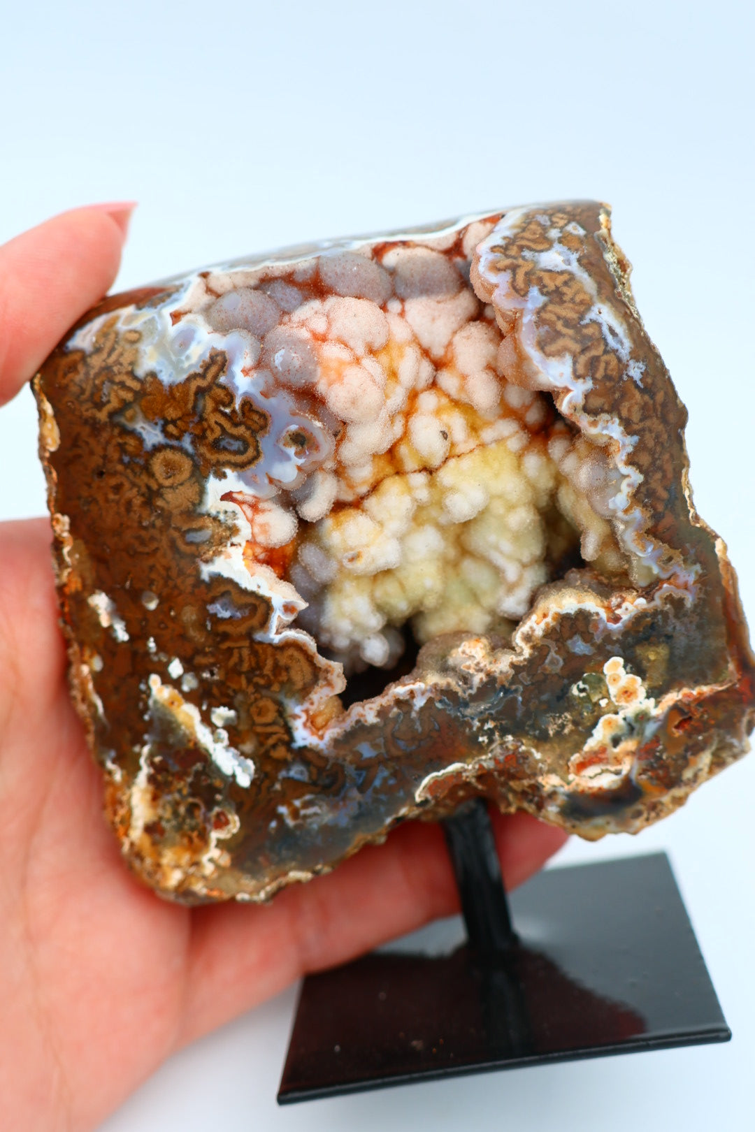 Rotsagaat op standaard 0.247 kg