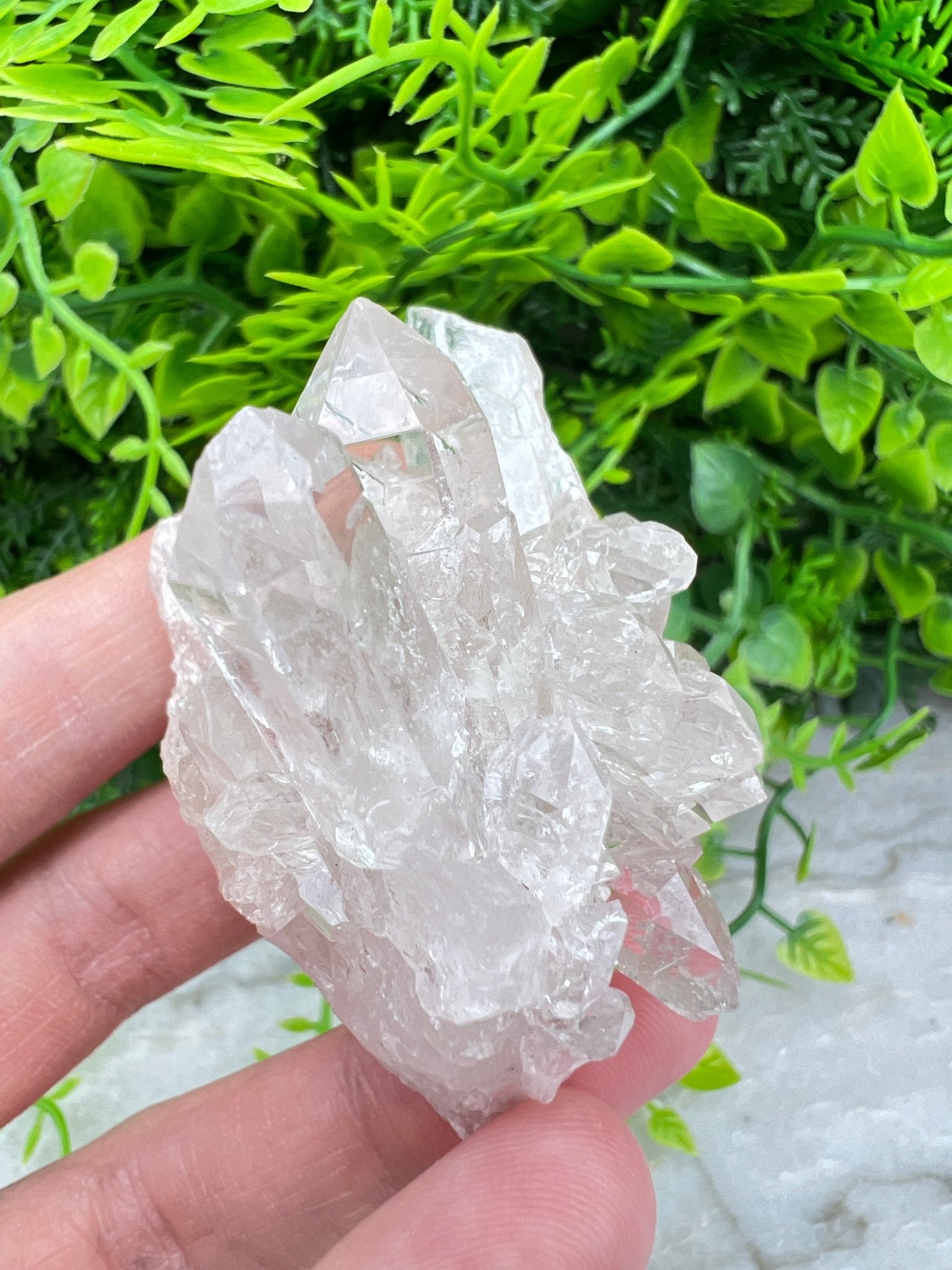 Bergkristall-Cluster (6 cm) von KEY LIME STORE