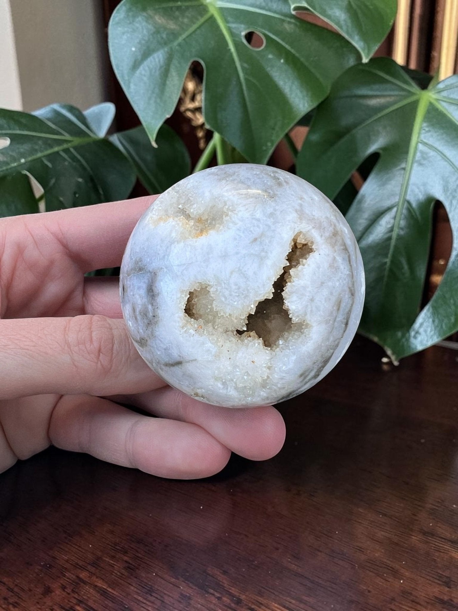 Druze Zebra Jaspis bol by KEY LIME STORE