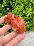 Tangarine Kwarts