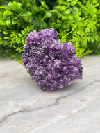 Amethist cluster pine by KEY LIME STORE