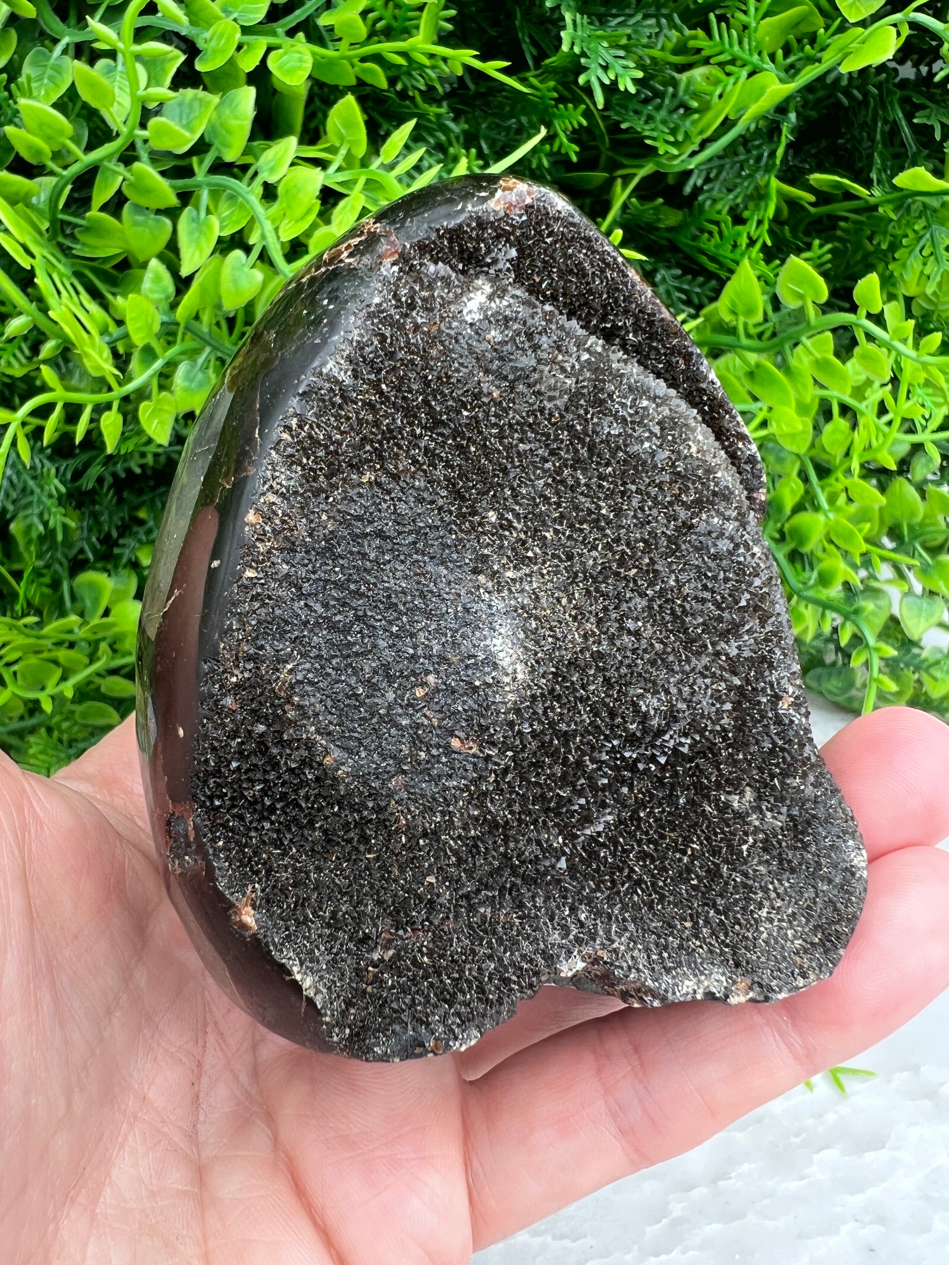 Druzy Septarie ei-vorm cut base (532 gram)