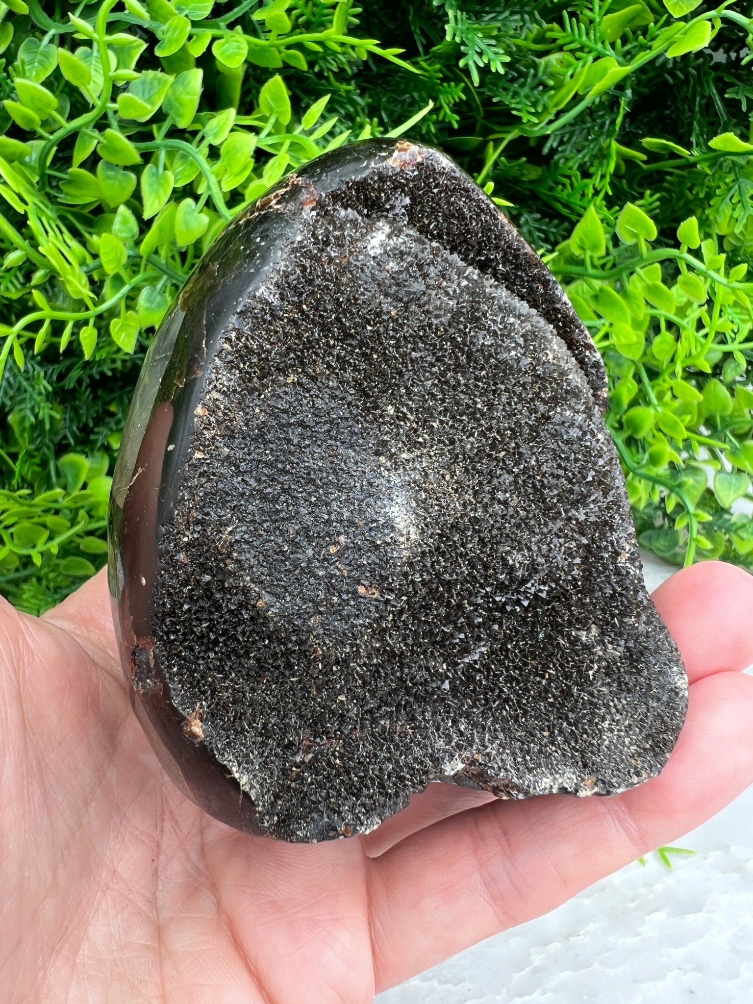 Druzy-Septarie, eiförmig geschliffen, mit Sockel (532 Gramm) von KEY LIME STORE