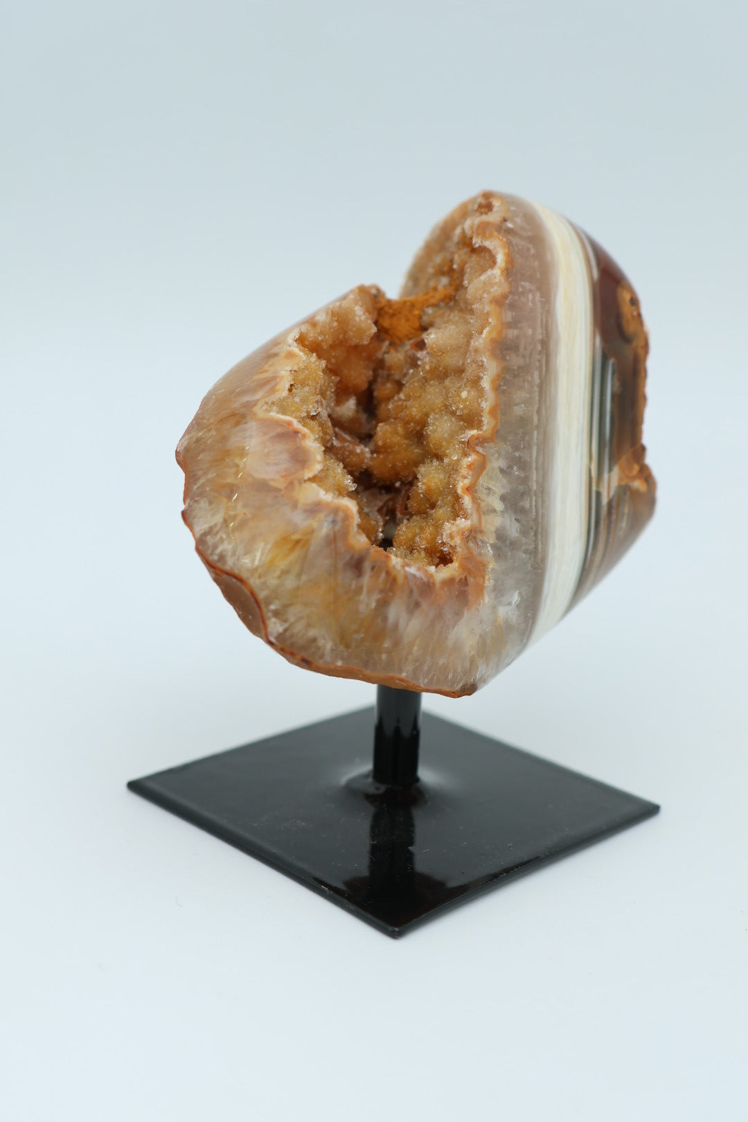 Rotsagaat op standaard 0.220 kg