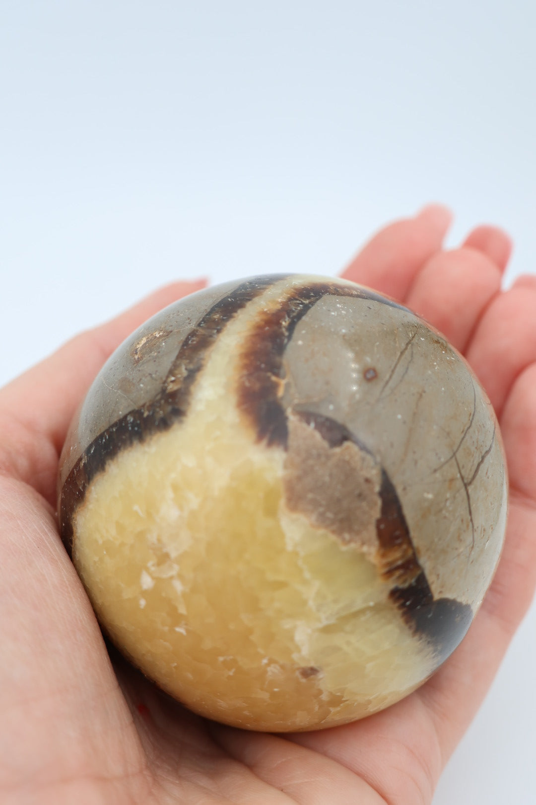 Septarie bol 0.375 gram