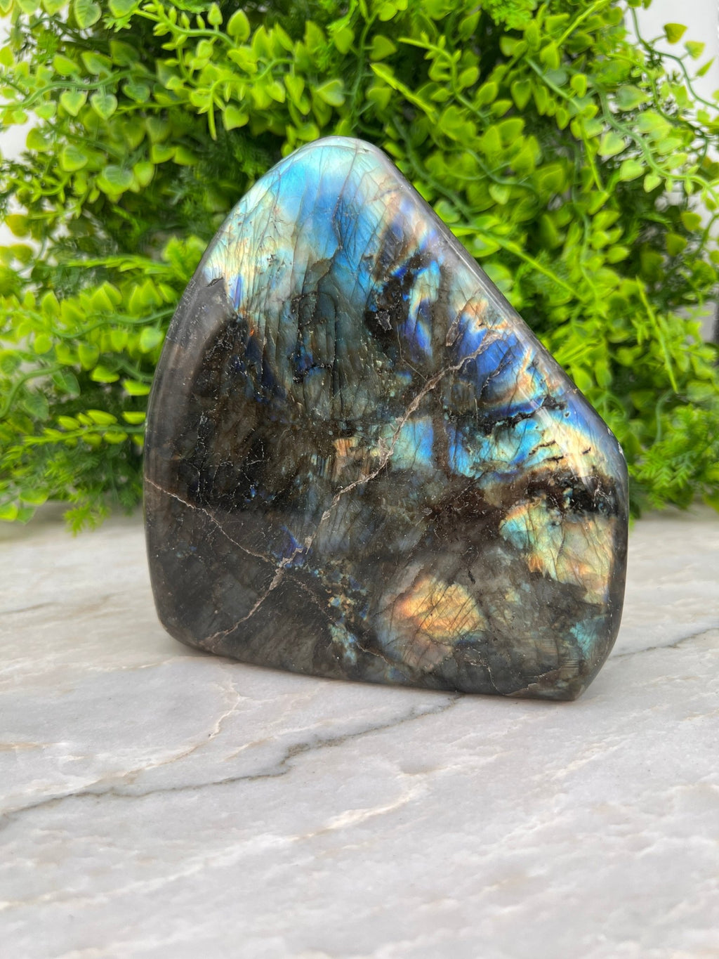 Labradoriet sculptuur by KEY LIME STORE