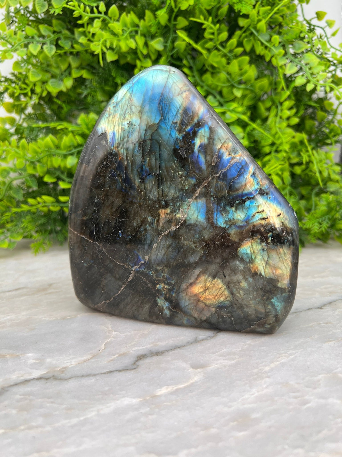 Labradoriet sculptuur by KEY LIME STORE