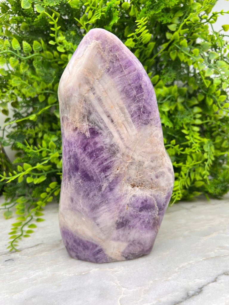 Dog Teeth Amethist sculptuur by KEY LIME STORE