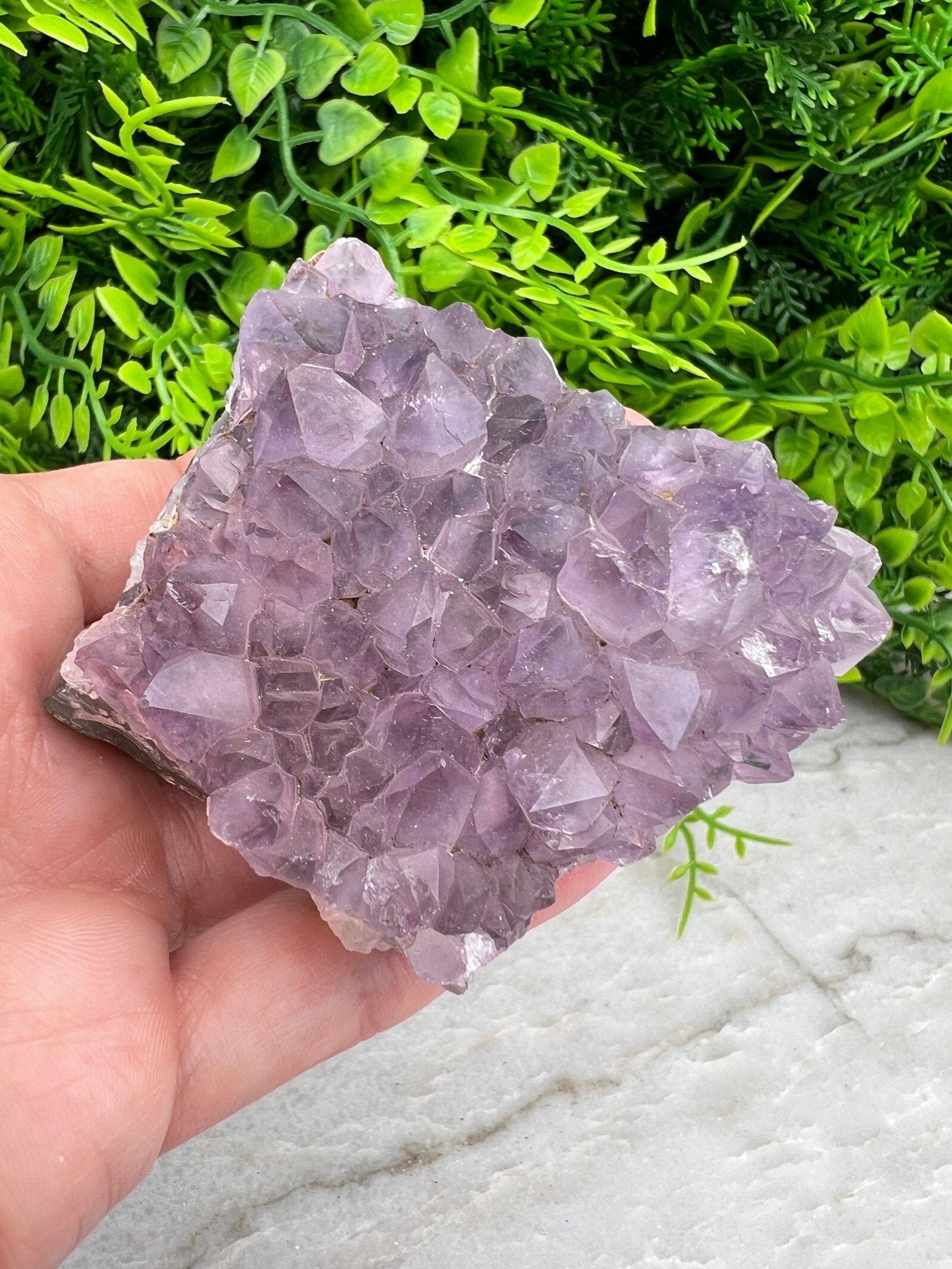 Amethyst-Cluster (8 cm) von KEY LIME STORE