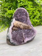 Amethist met Kwartskristal cut base - zeldzaam by KEY LIME STORE