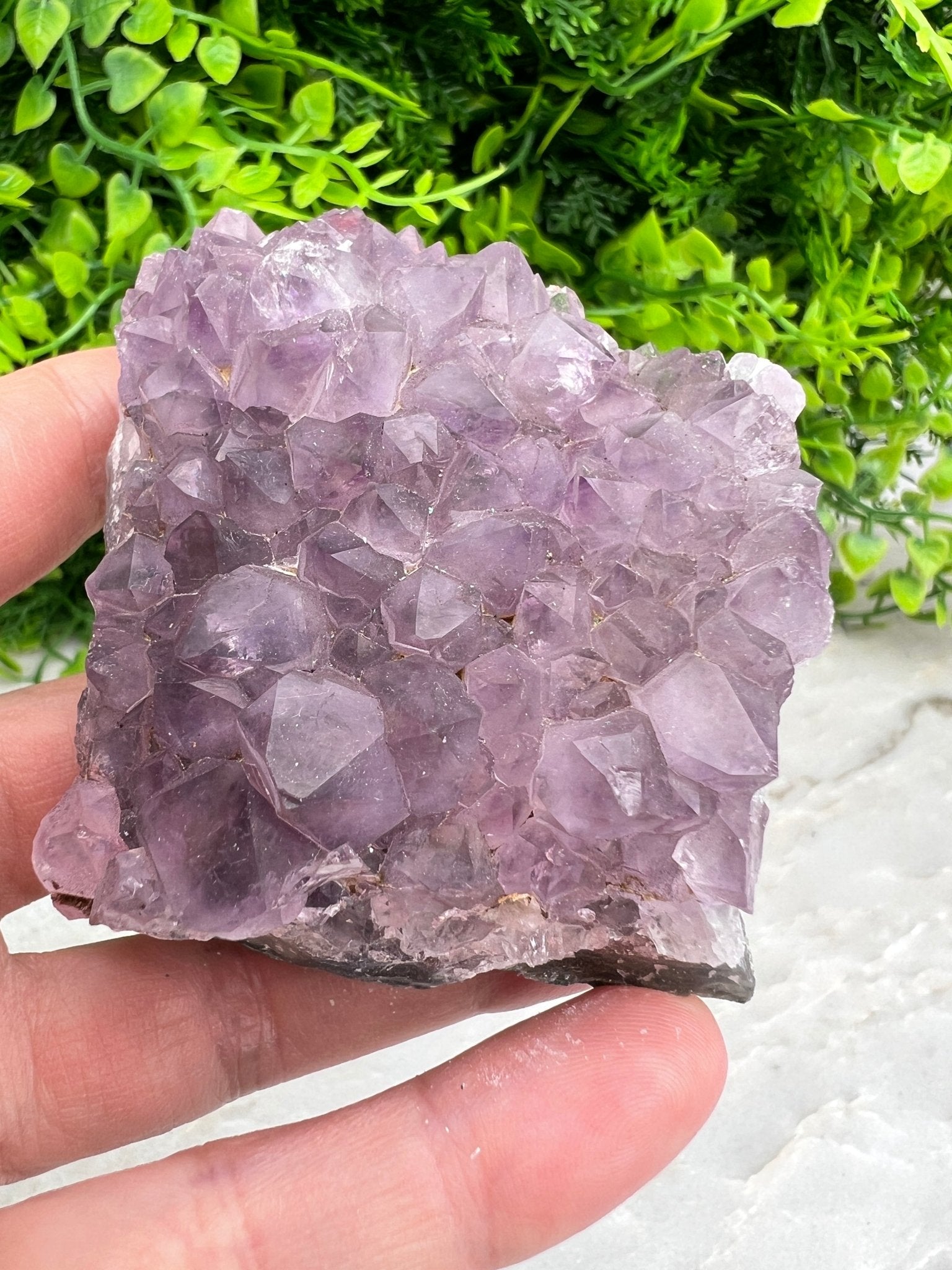 Amethyst-Cluster (8 cm) von KEY LIME STORE