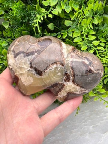Septarie dubbele harten by KEY LIME STORE