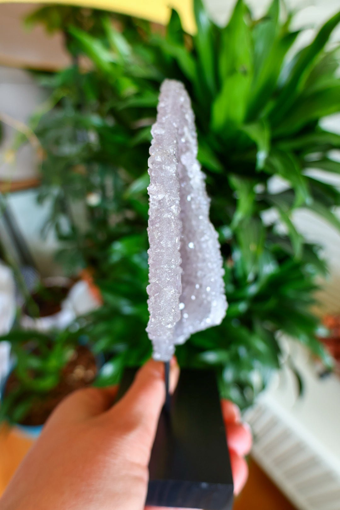 Flower Amethist op standaard by KEY LIME STORE