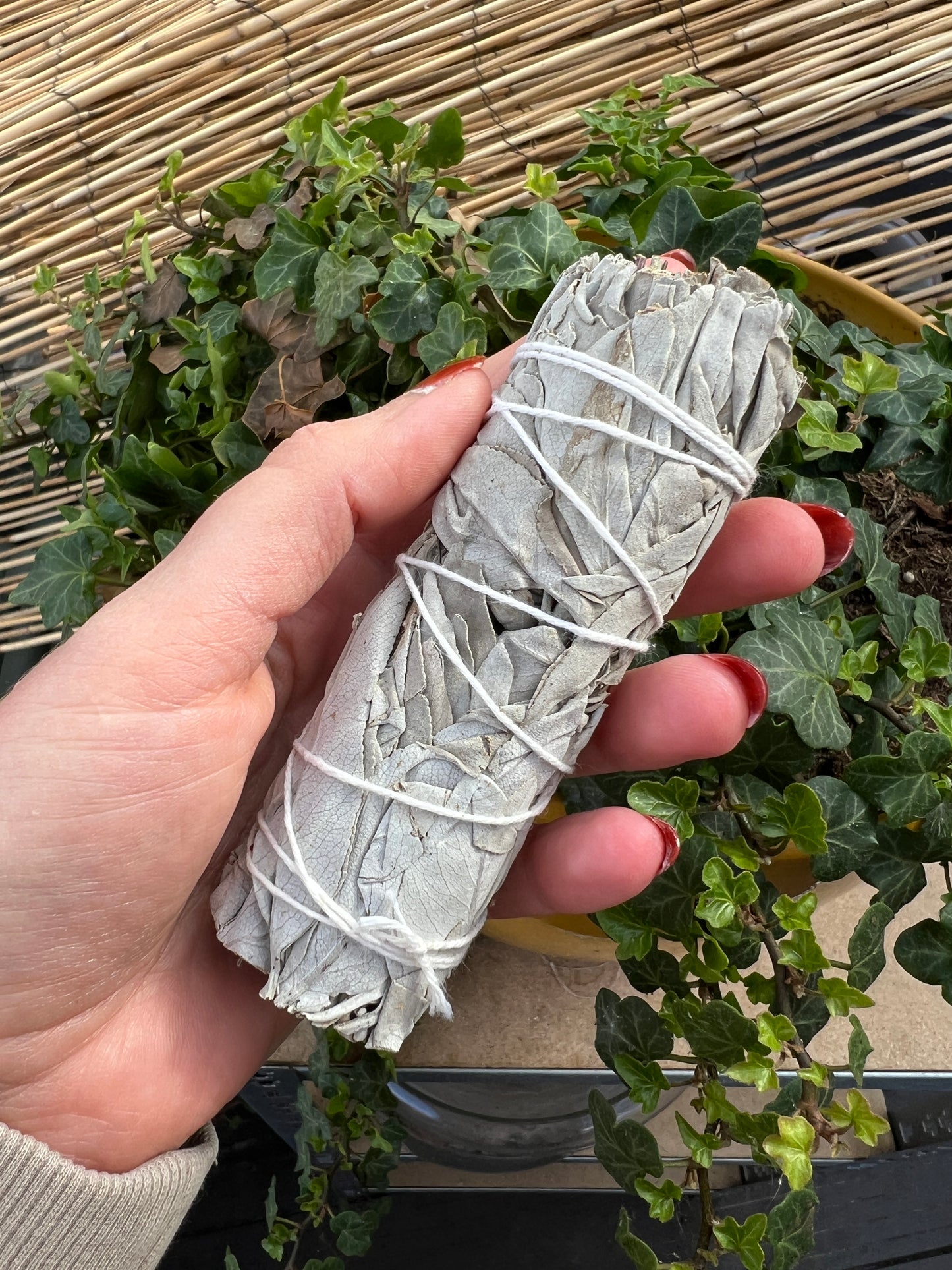 White sage