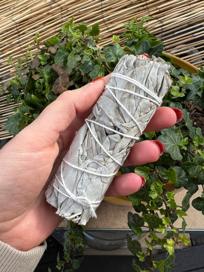 White sage