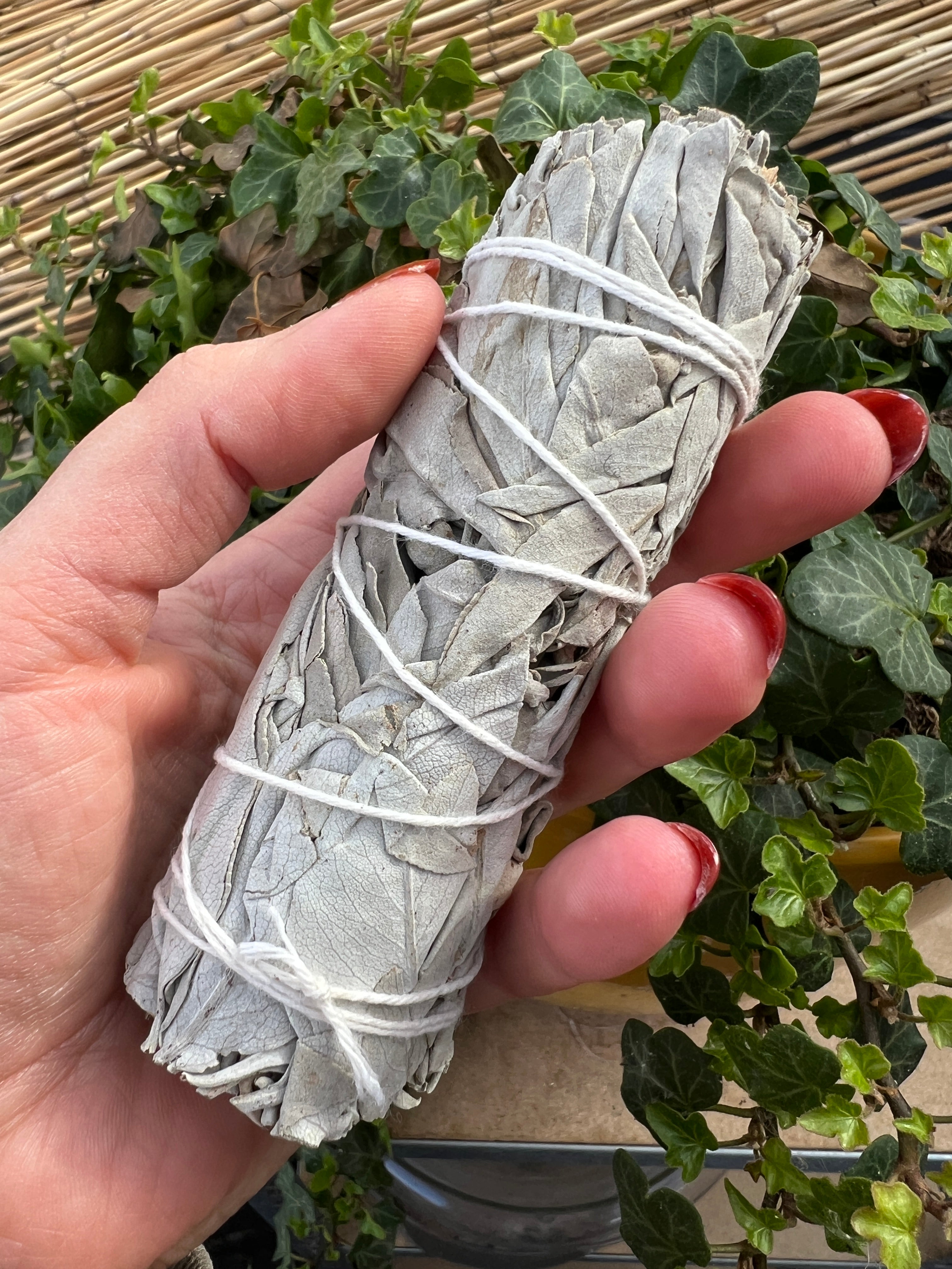 White sage