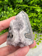 A hand is holding a piece of amethyst geode, a natural mineral formation with a striking purple color. The hand is positioned in front of a background of green foliage, creating a contrast between the natural and natural elements.