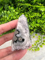 A hand is holding a piece of a crystal or gemstone, with a background of green plants.