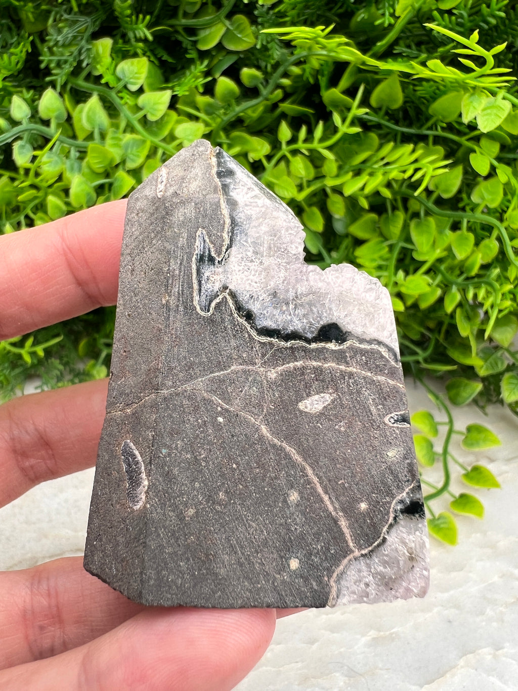A hand is holding a piece of rock with a unique, jagged pattern, set against a background of green foliage.