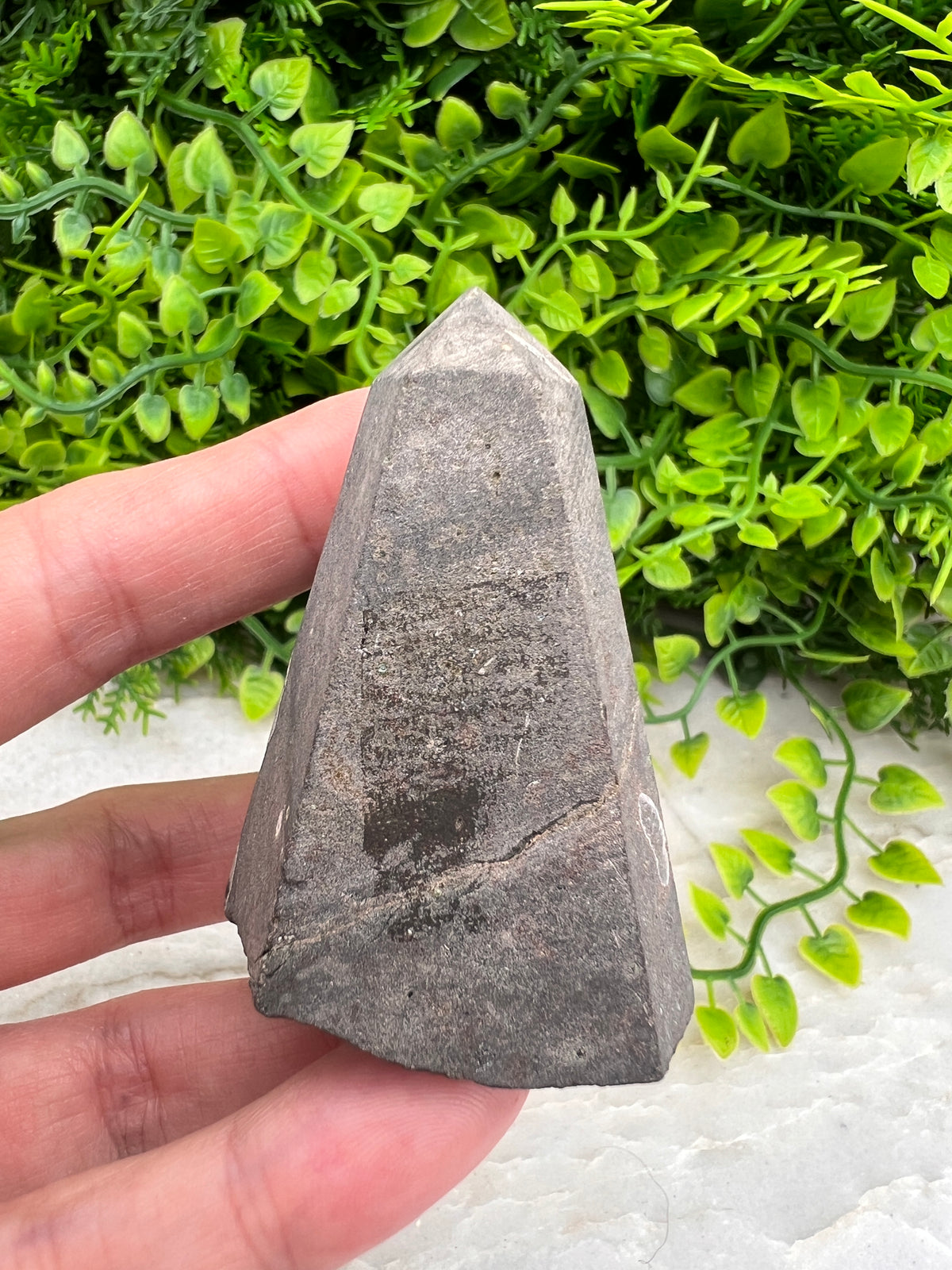 A hand is holding a gray, triangular-shaped object, which appears to be a piece of rock or a crystal, against a background of green plants.