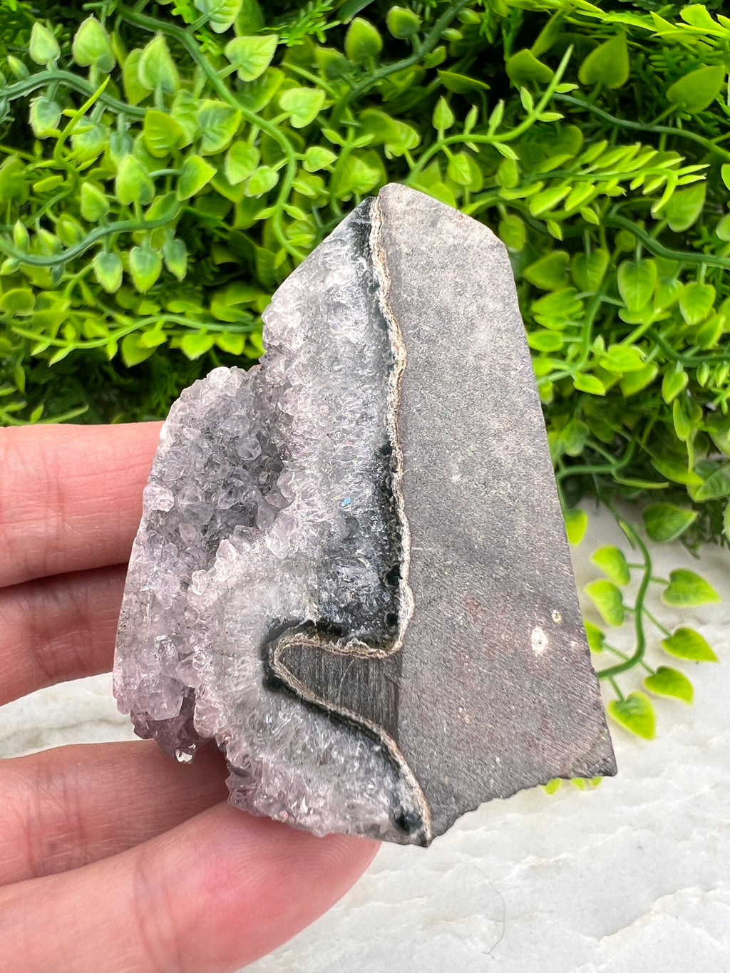 A hand is holding a piece of rock with a black stripe running through it, set against a background of green plants.