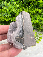A hand is holding a piece of rock with a black stripe running through it, set against a background of green plants.