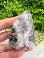 A hand is holding a piece of amethyst crystal against a backdrop of green foliage.