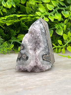 A piece of amethyst geode with a dark gray base and light purple crystals sits on a white surface, surrounded by green foliage.