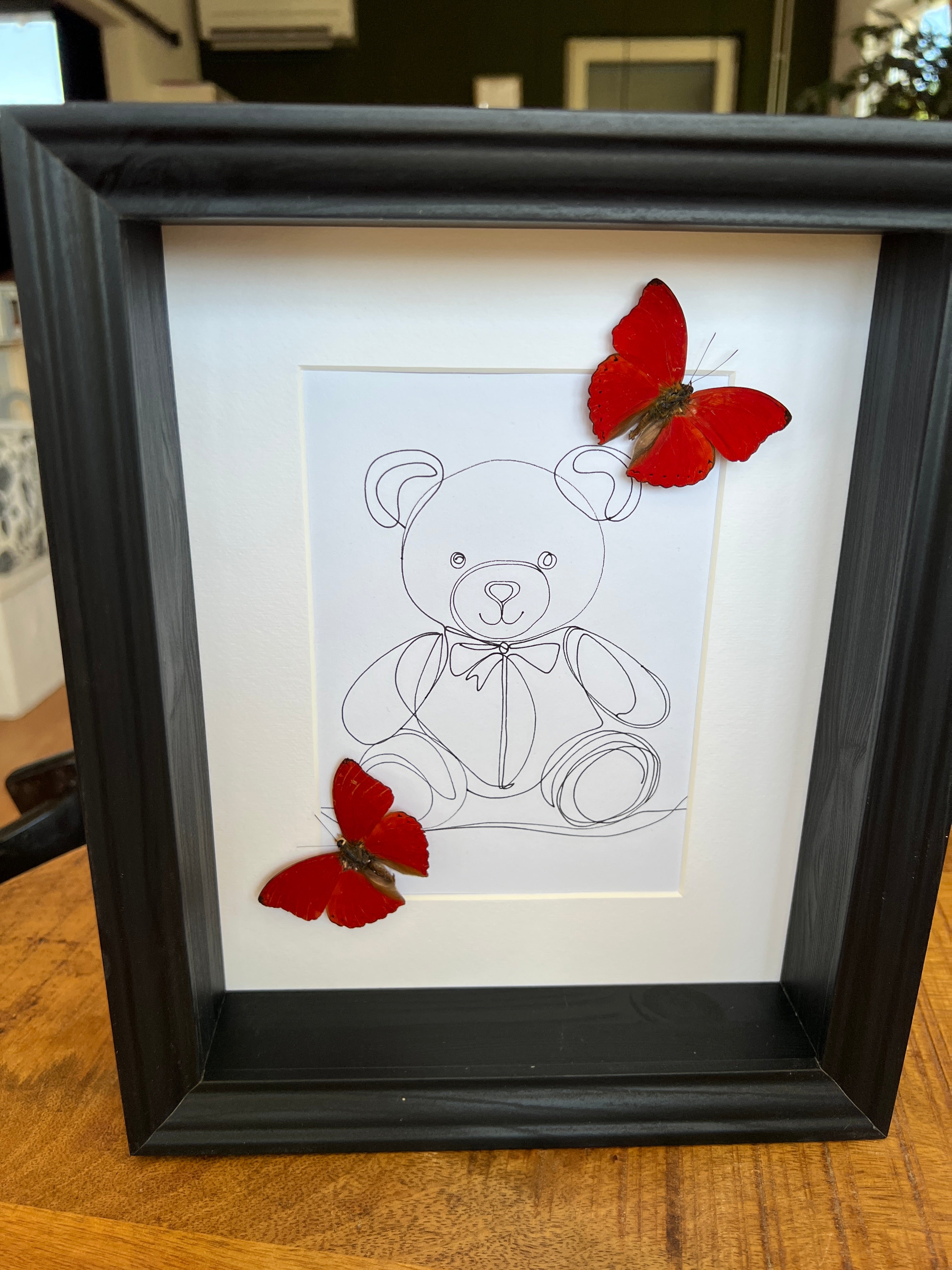 Cymothoe Sangaris met echte tekening in lijst