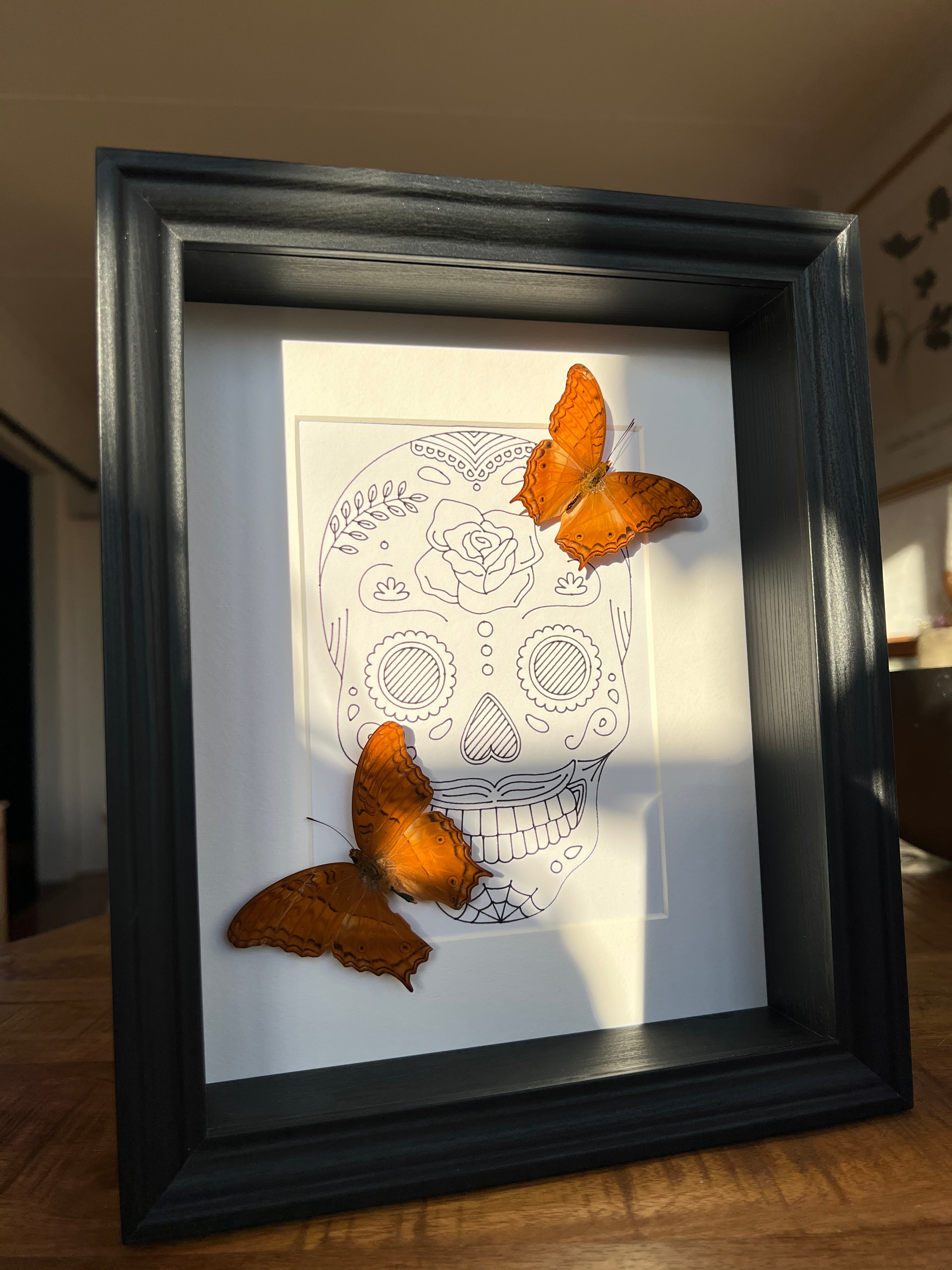 Vindula Erota met echte tekening in lijst