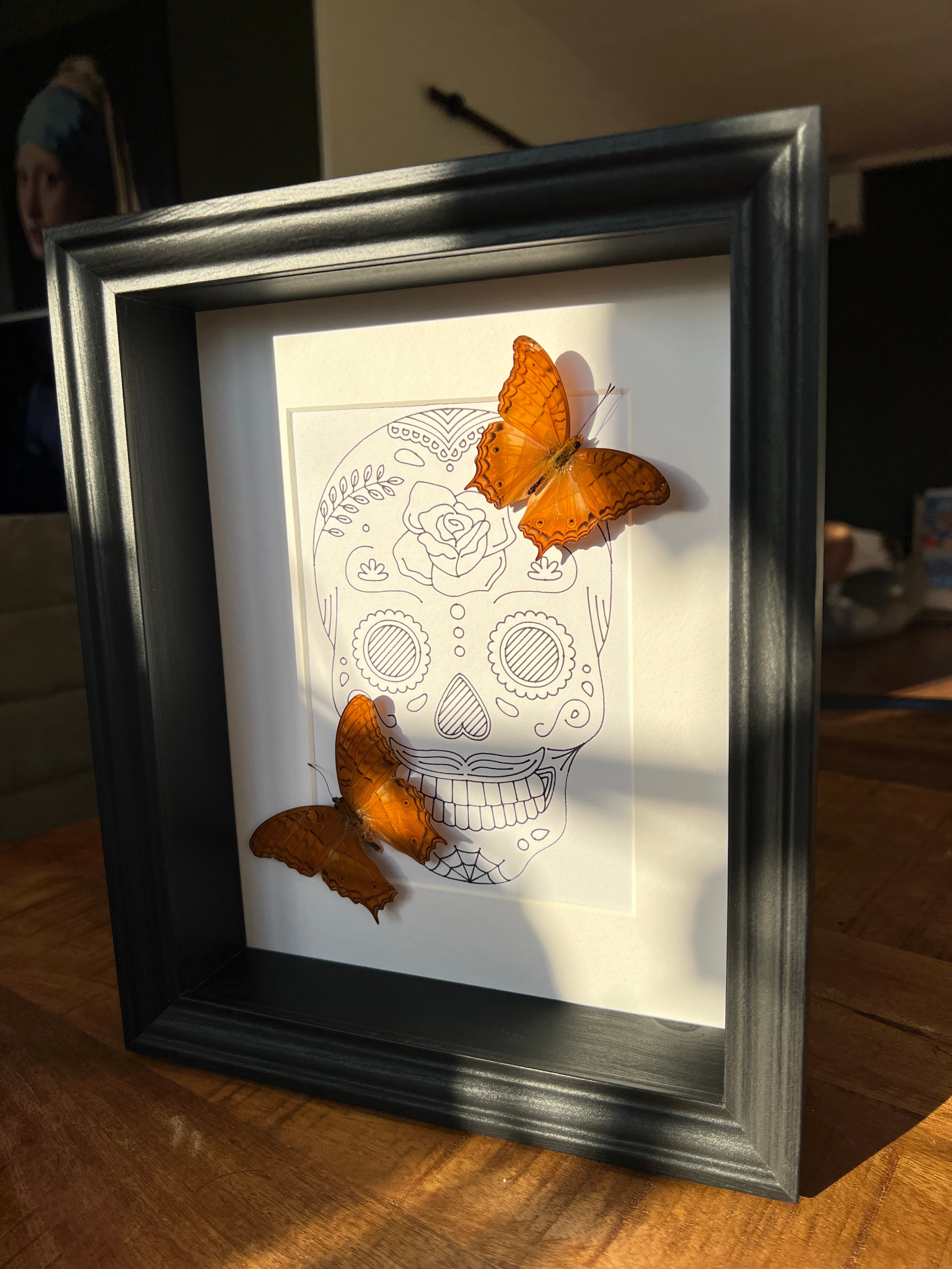 Vindula Erota met echte tekening in lijst