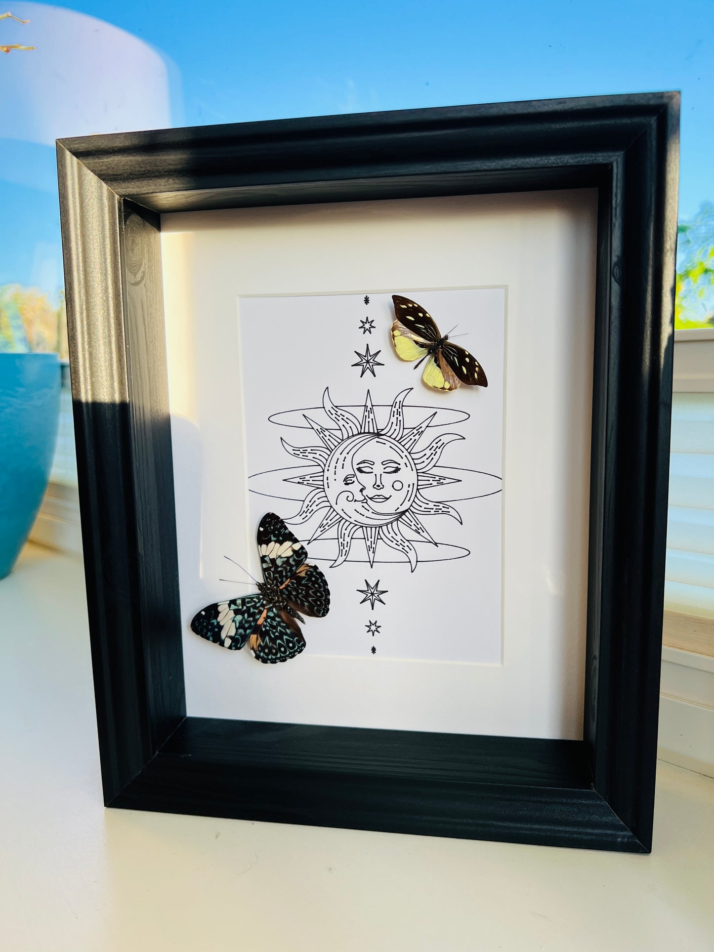 Hamadryas and Lieinix Nemesis with real drawing in frame