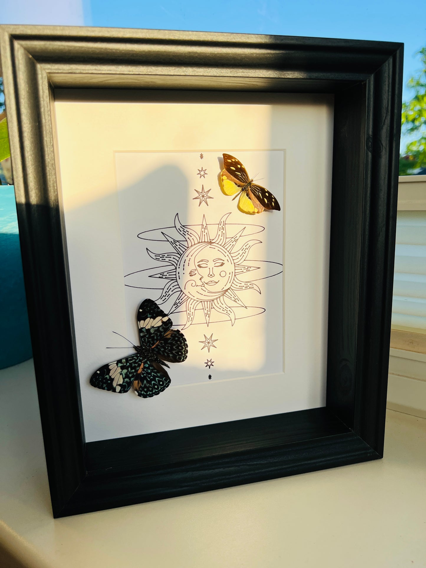 Hamadryas and Lieinix Nemesis with real drawing in frame