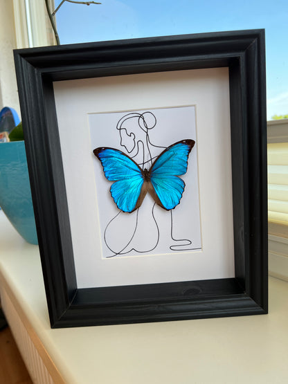 Morpho Menelaus avec dessin réel dans le cadre
