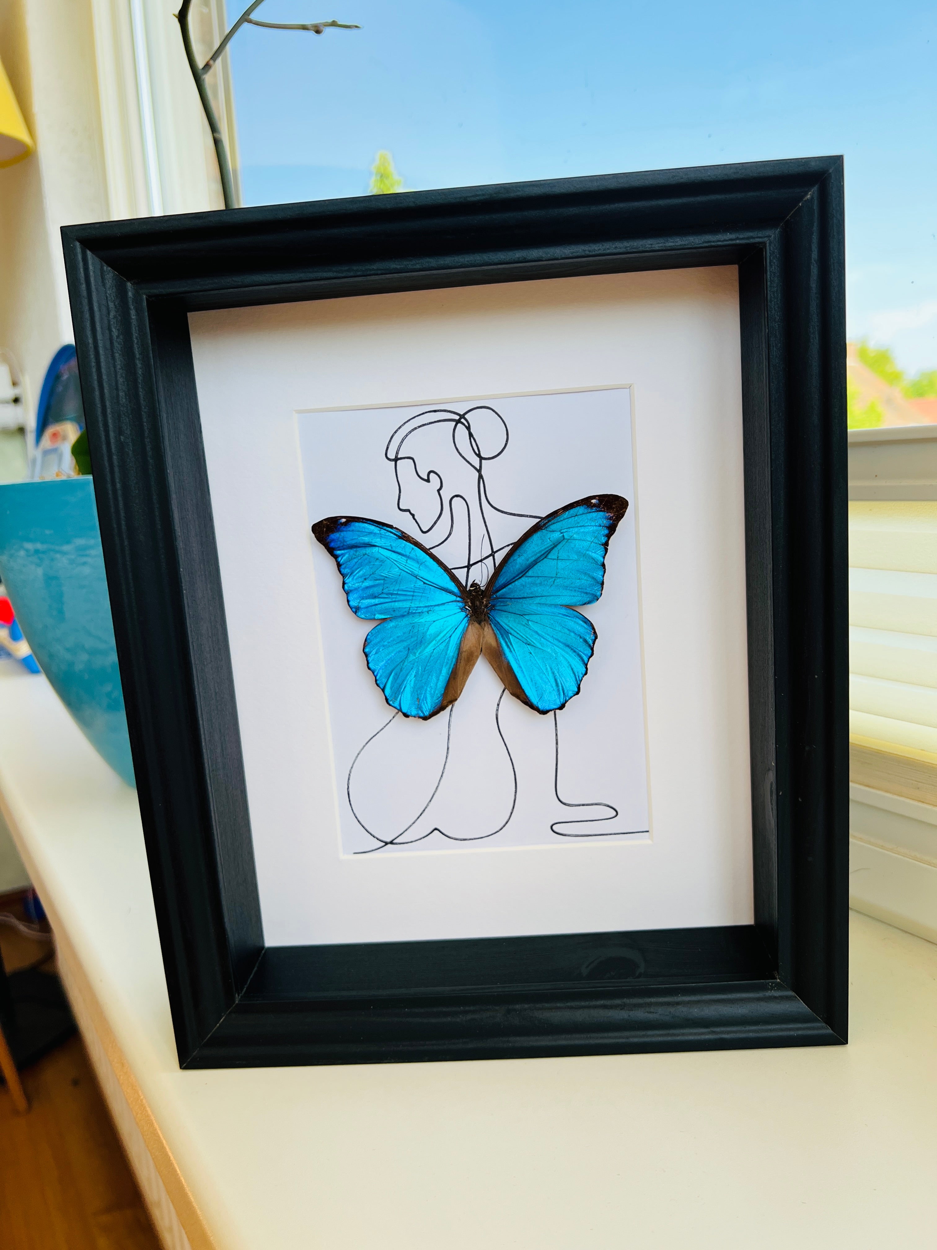 Morpho Menelaus met echte tekening in lijst