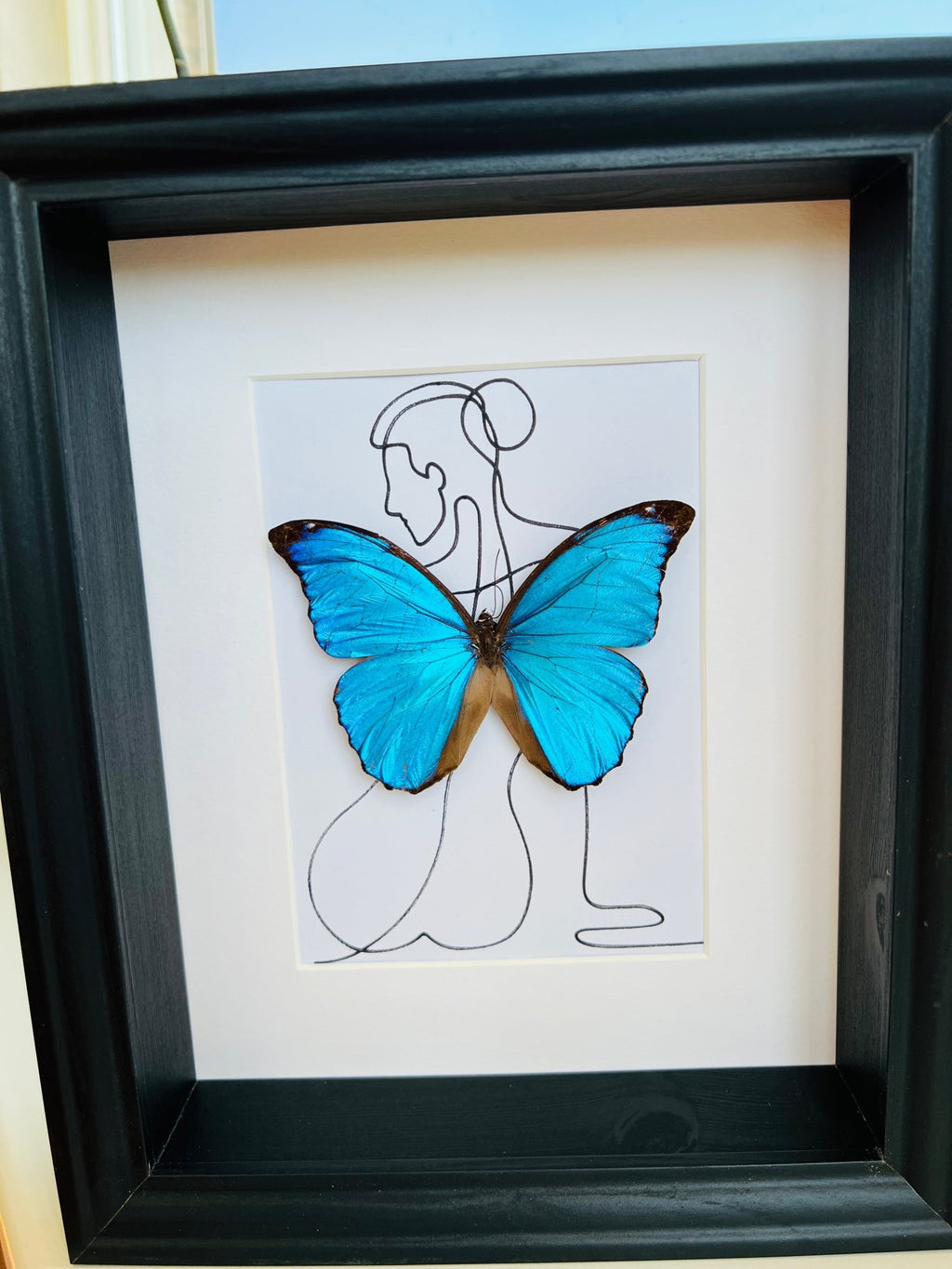 Morpho Menelaus mit authentischem Muster, gerahmt von KEY LIME STORE