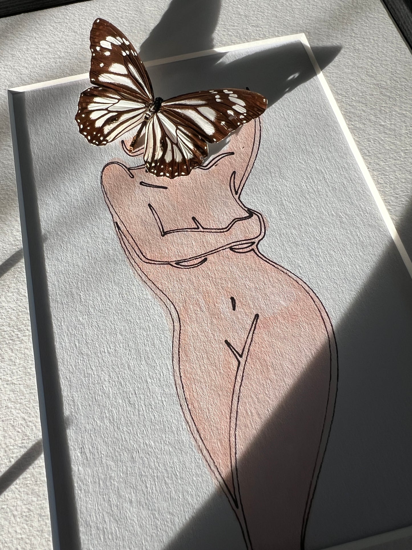 Parantica Sita with real drawing in frame