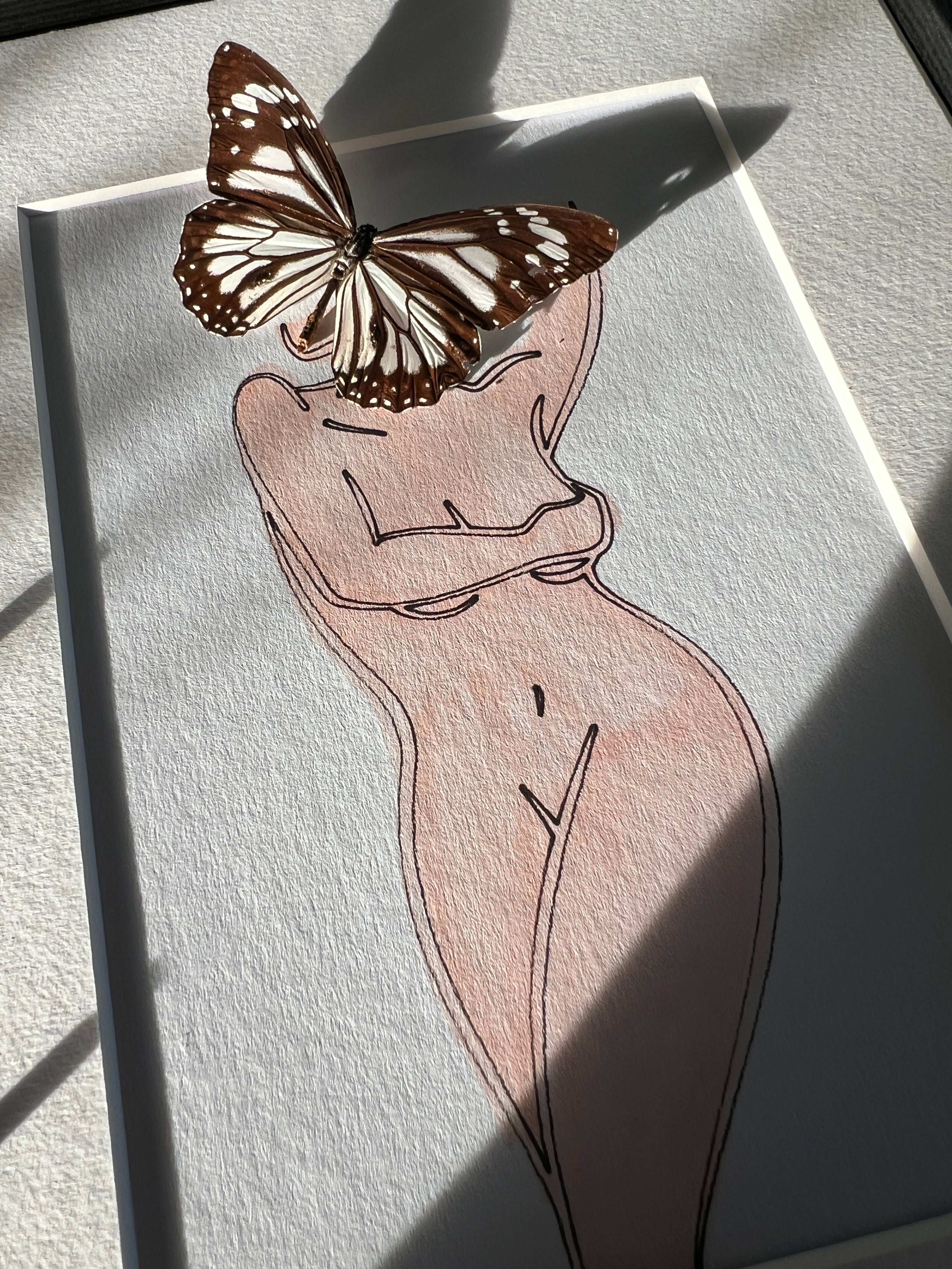 Parantica Sita met echte tekening in lijst