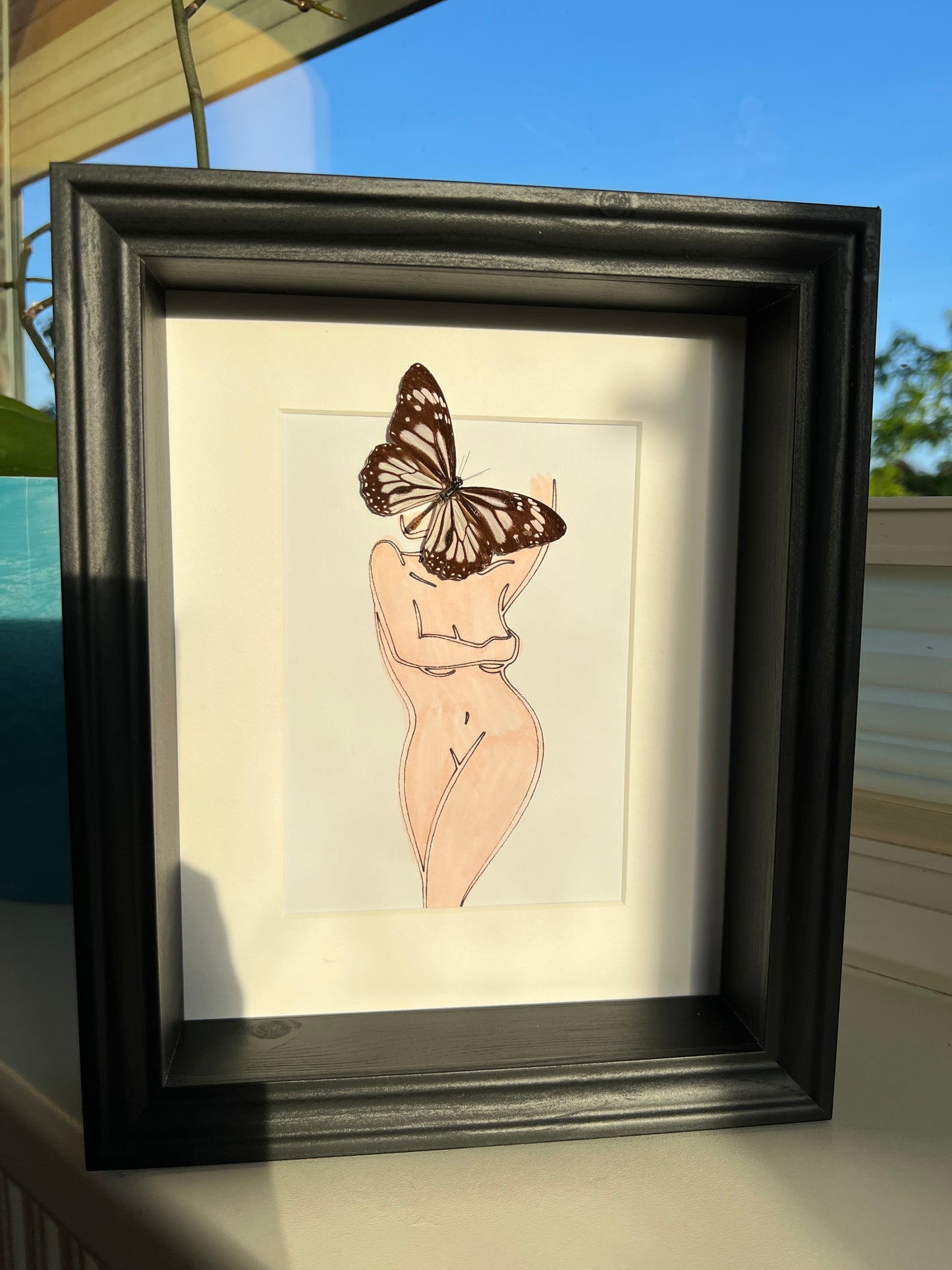 Parantica Sita with real drawing in frame