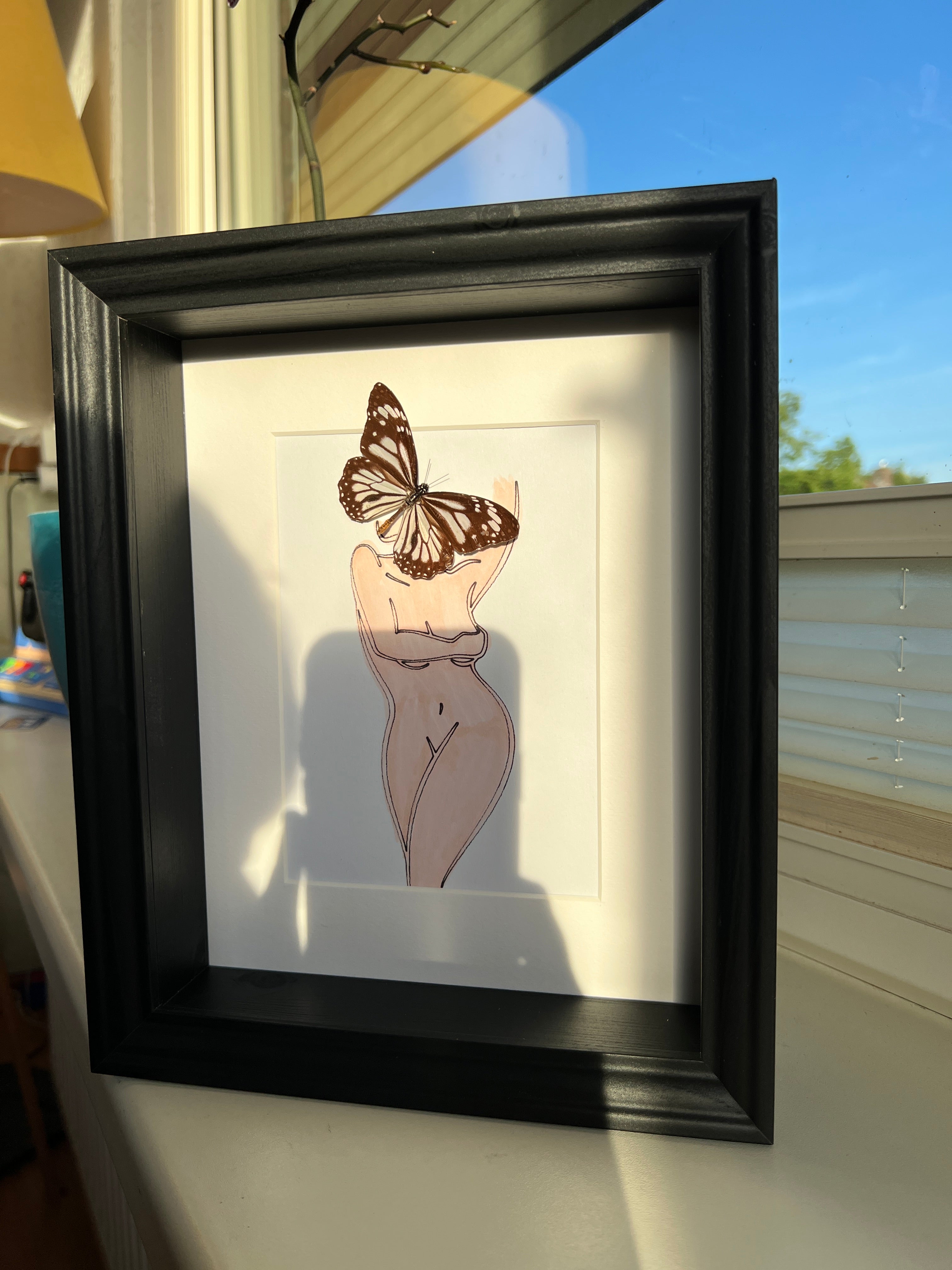 Parantica Sita met echte tekening in lijst