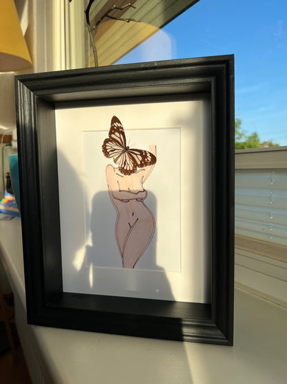 Parantica Sita with real drawing in frame