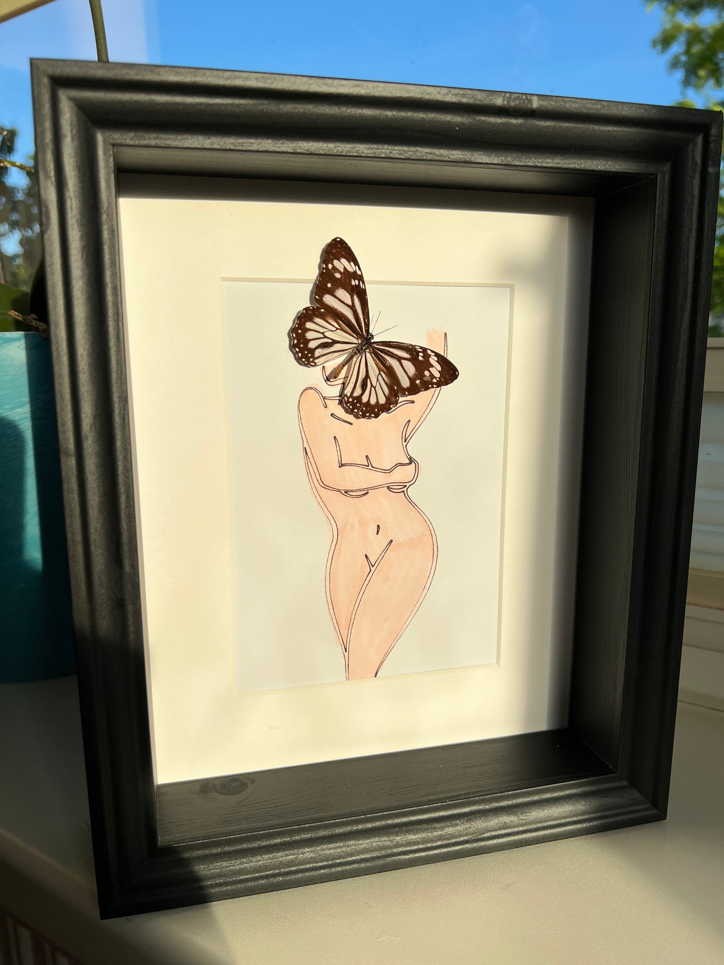 Parantica Sita with real drawing in frame