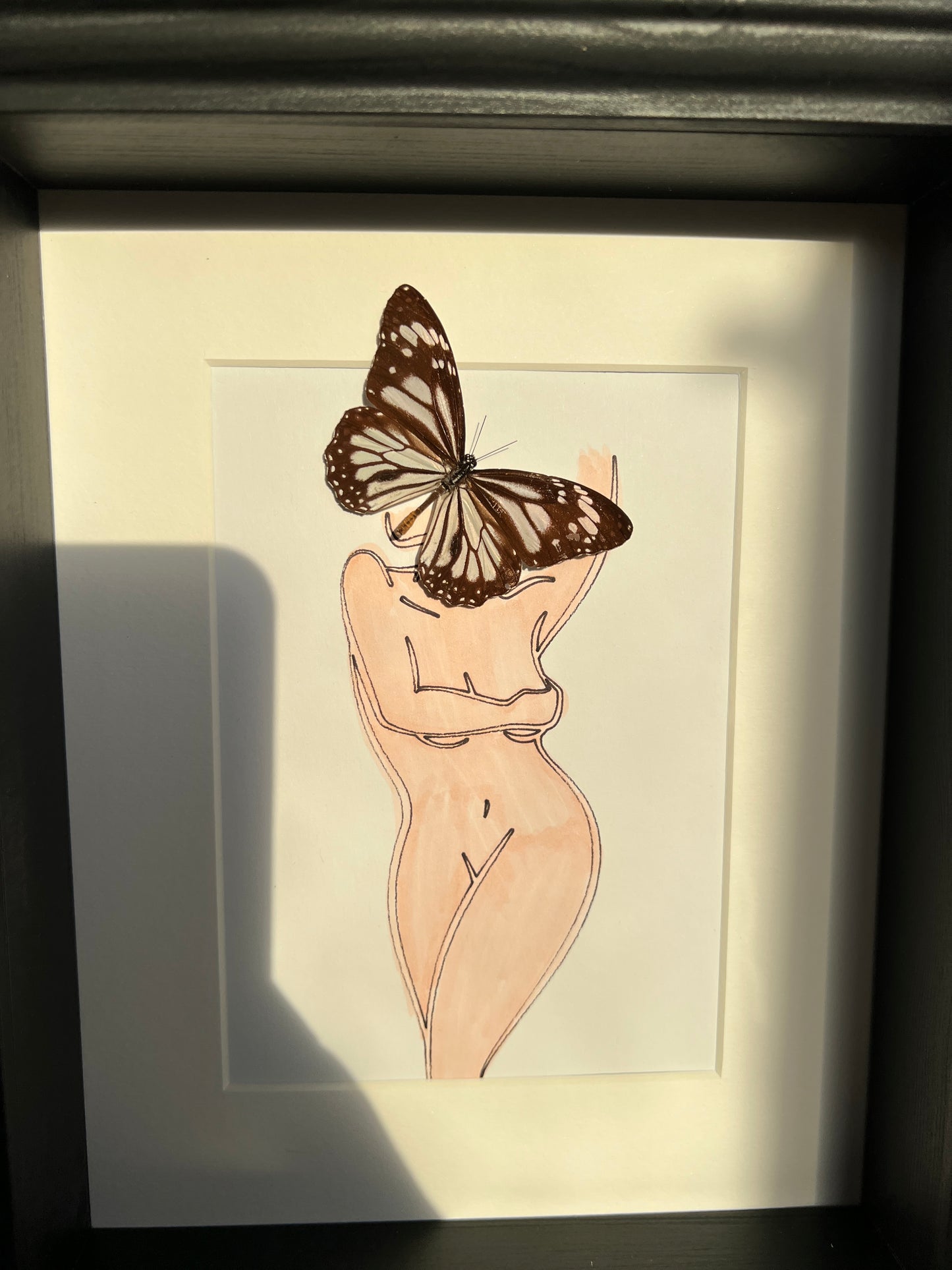 Parantica Sita with real drawing in frame
