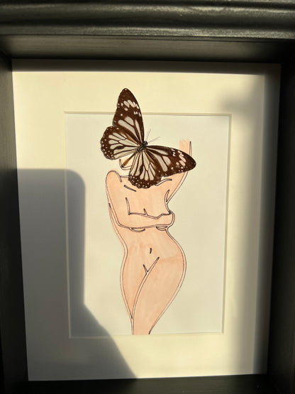 Parantica Sita with real drawing in frame