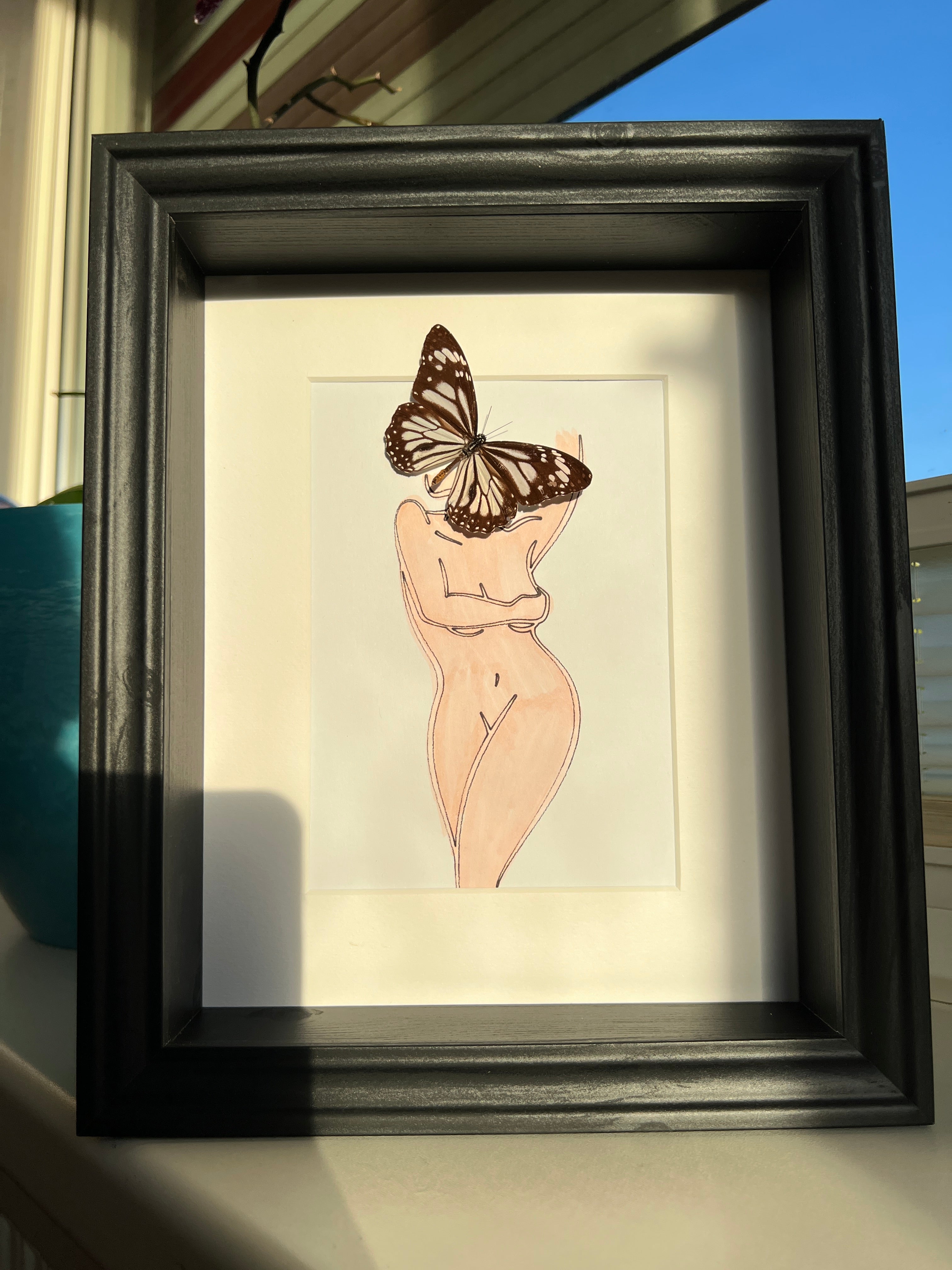 Parantica Sita met echte tekening in lijst