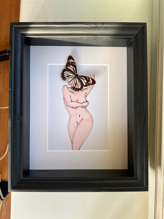 Graphium Leonidas with genuine drawing in frame (copy)