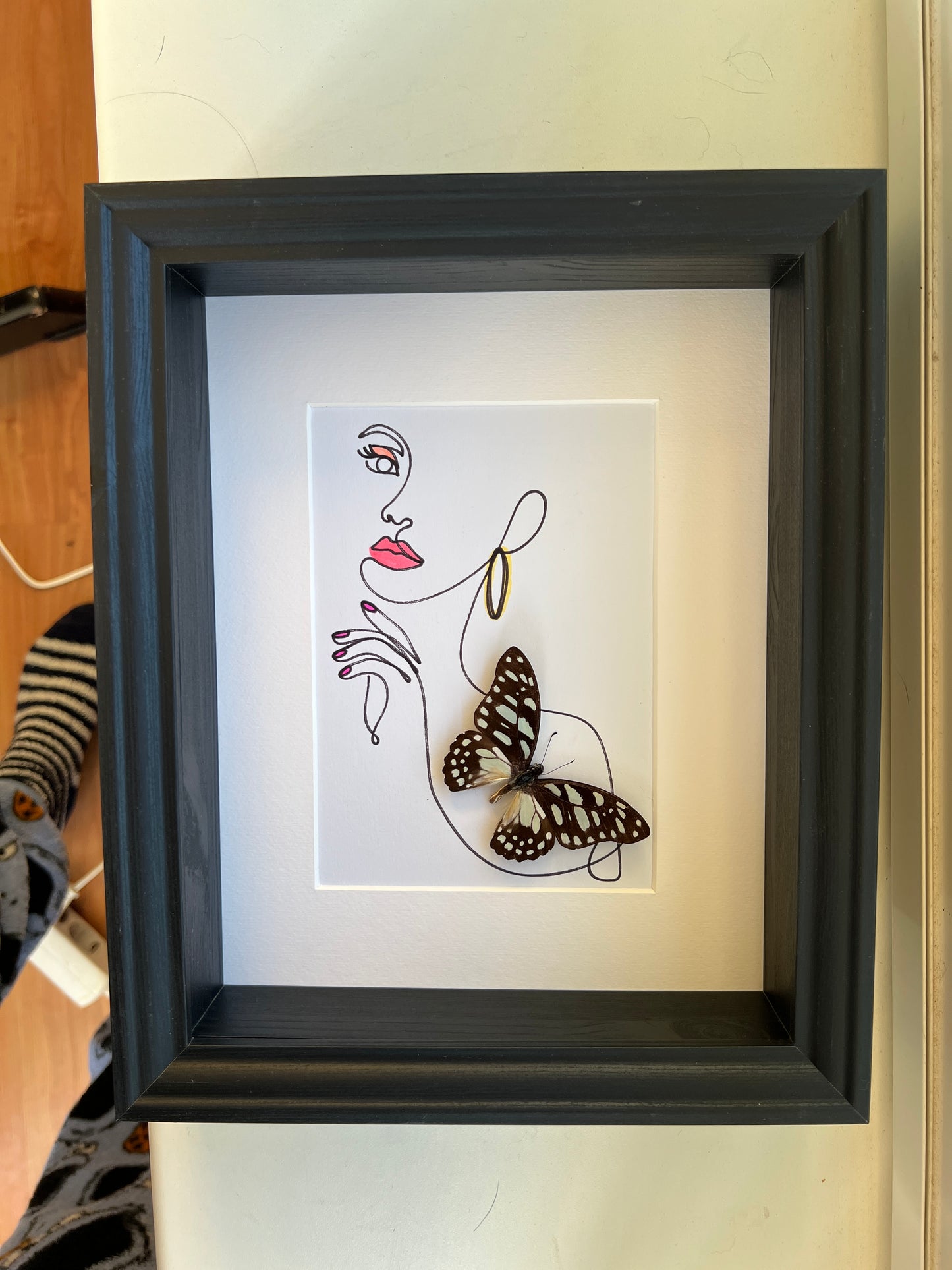 Graphium Leonidas with genuine drawing in frame