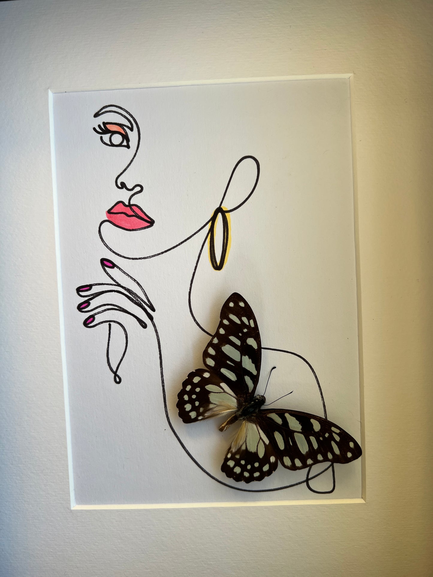 Graphium Leonidas with genuine drawing in frame